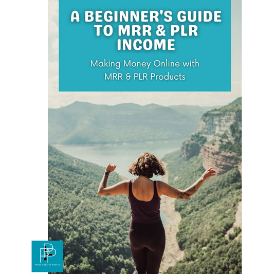 A Beginner's Guide to MRR & PLR Income